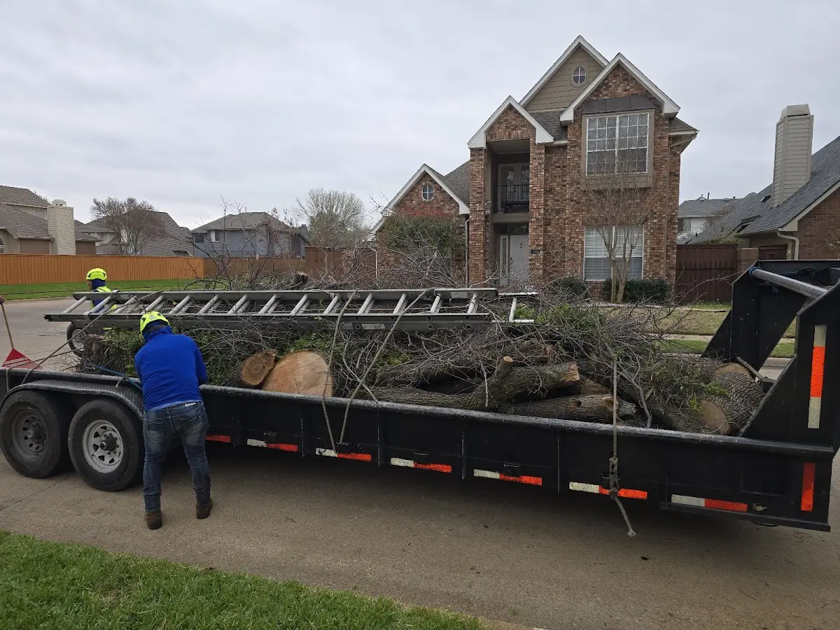 Expert Tree Removal with proper safety equipment in Salem
